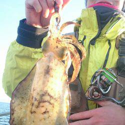 シースナイパー海龍 釣果