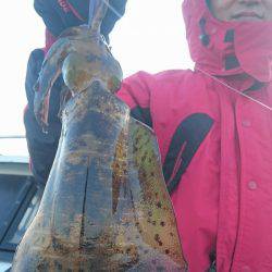 シースナイパー海龍 釣果