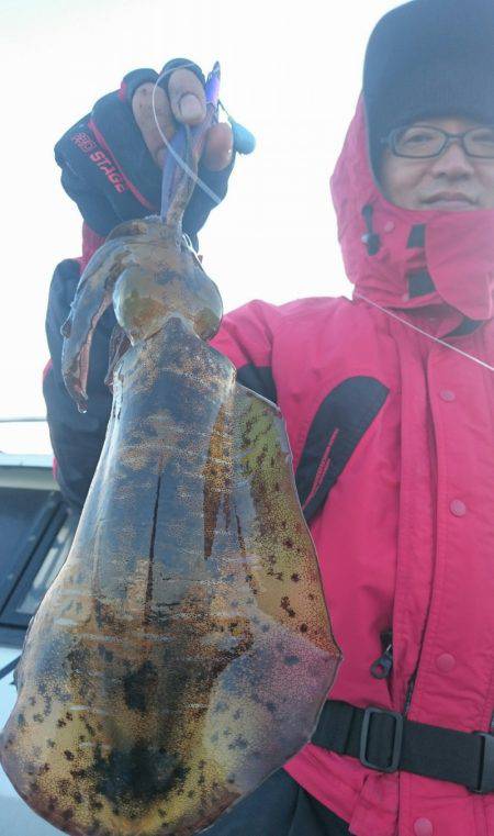 シースナイパー海龍 釣果