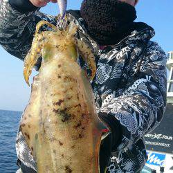シースナイパー海龍 釣果