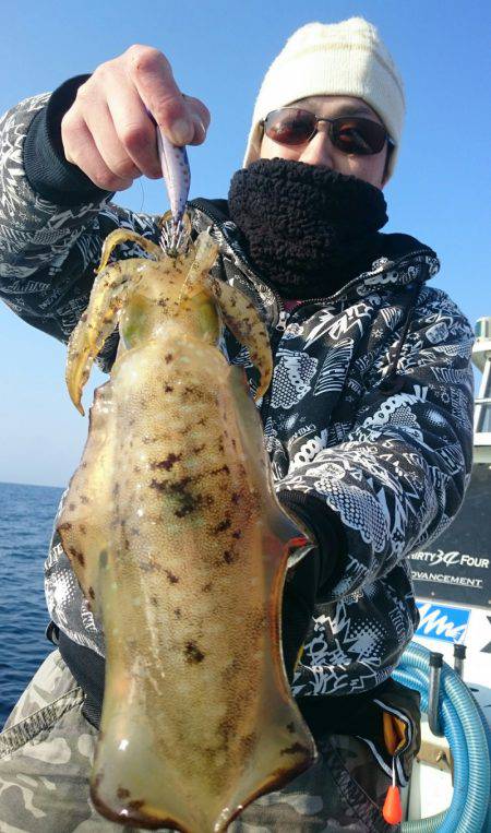 シースナイパー海龍 釣果