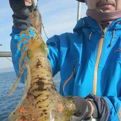 シースナイパー海龍 釣果