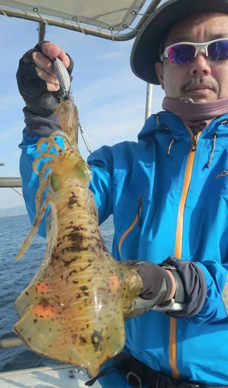 シースナイパー海龍 釣果