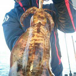 シースナイパー海龍 釣果