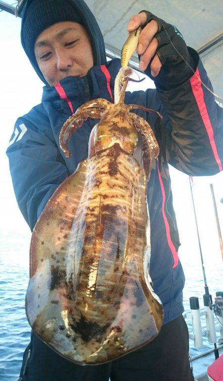 シースナイパー海龍 釣果