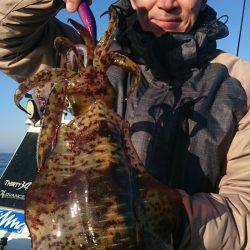 シースナイパー海龍 釣果