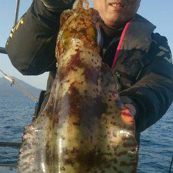 シースナイパー海龍 釣果