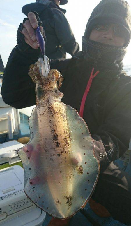 シースナイパー海龍 釣果