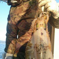 シースナイパー海龍 釣果