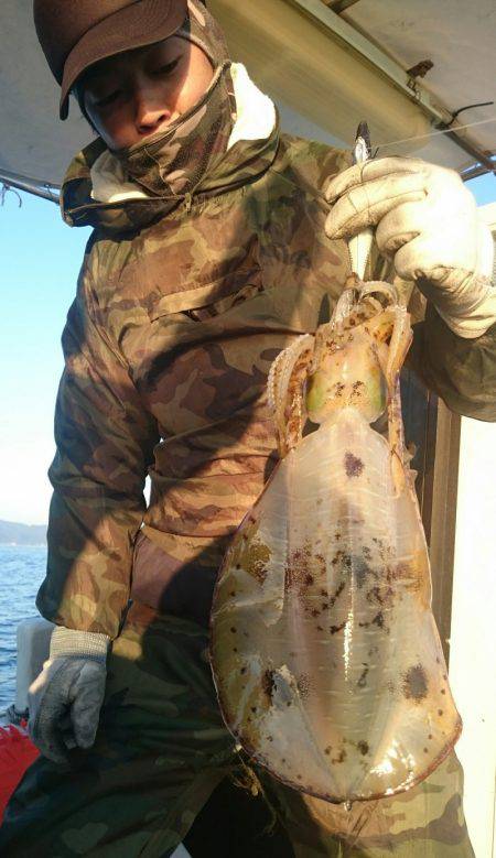 シースナイパー海龍 釣果