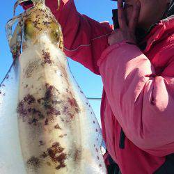 シースナイパー海龍 釣果