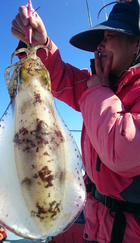 シースナイパー海龍 釣果