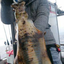 シースナイパー海龍 釣果