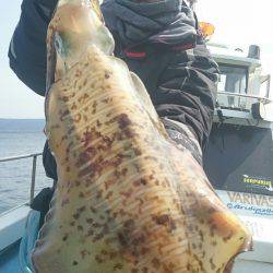 シースナイパー海龍 釣果