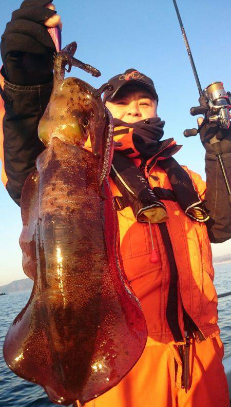 シースナイパー海龍 釣果
