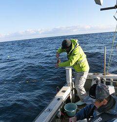 第二清洋丸 釣果