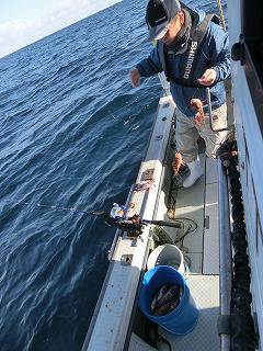 第二清洋丸 釣果