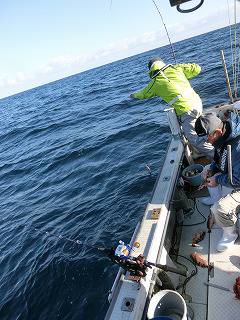 第二清洋丸 釣果