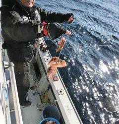 第二清洋丸 釣果