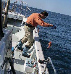 第二清洋丸 釣果