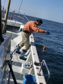 第二清洋丸 釣果