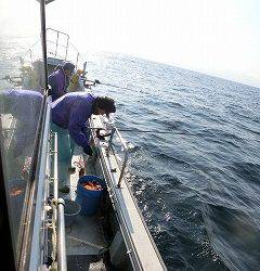 第二清洋丸 釣果