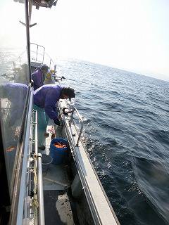 第二清洋丸 釣果