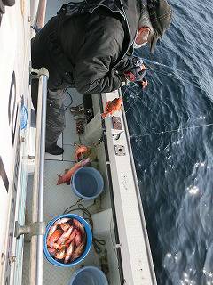 第二清洋丸 釣果