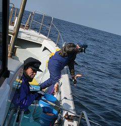 第二清洋丸 釣果