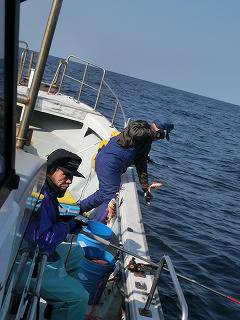 第二清洋丸 釣果