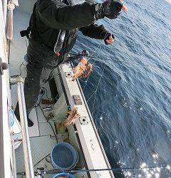 第二清洋丸 釣果