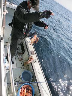 第二清洋丸 釣果