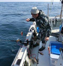 第二清洋丸 釣果