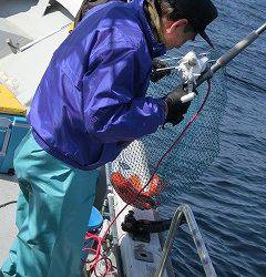 第二清洋丸 釣果