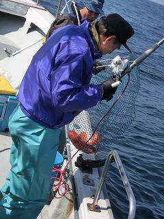 第二清洋丸 釣果