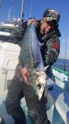 ＫＯＮＡＹＡｰＭＡＲＵ（こなや丸） 釣果