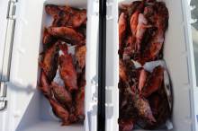 KIM Fishing Guide Ser…