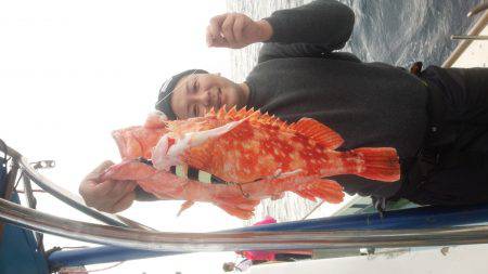 香織丸 釣果