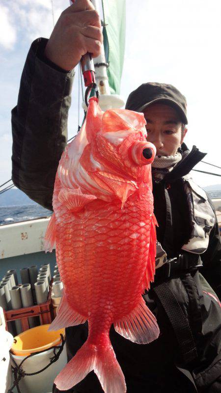 香織丸 釣果