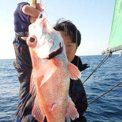 香織丸 釣果