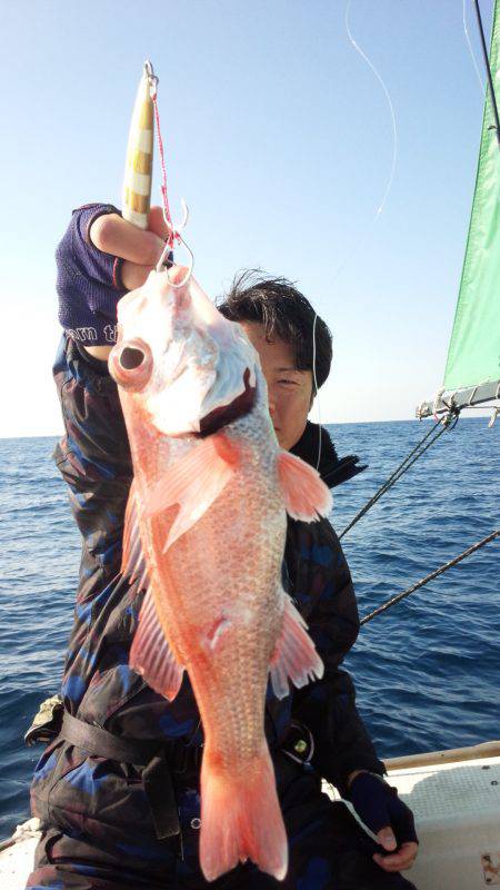 香織丸 釣果