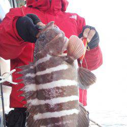 香織丸 釣果