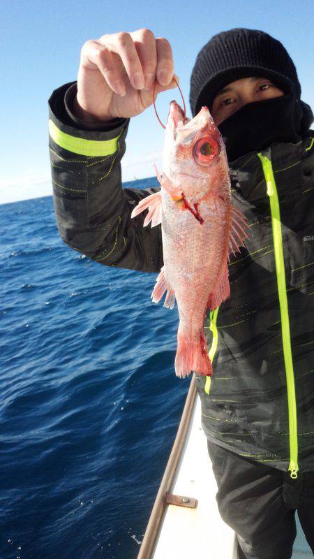 香織丸 釣果