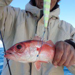 香織丸 釣果