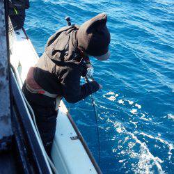 香織丸 釣果