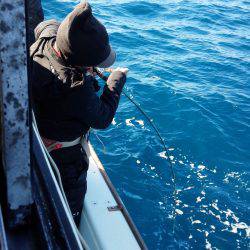 香織丸 釣果