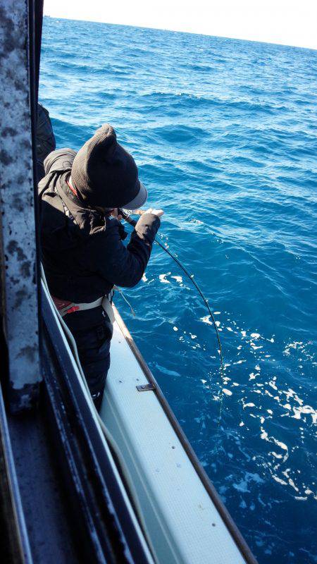 香織丸 釣果