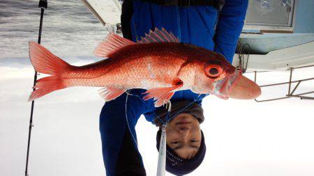 香織丸 釣果