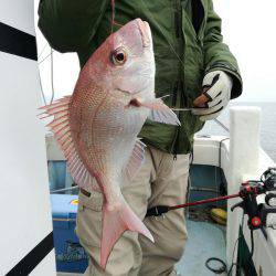 リトルワン 釣果