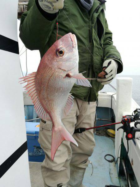 リトルワン 釣果